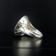 Anillo Panal