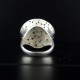 Anillo Panal
