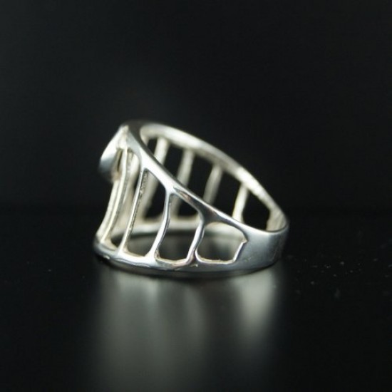 Anillo Olas