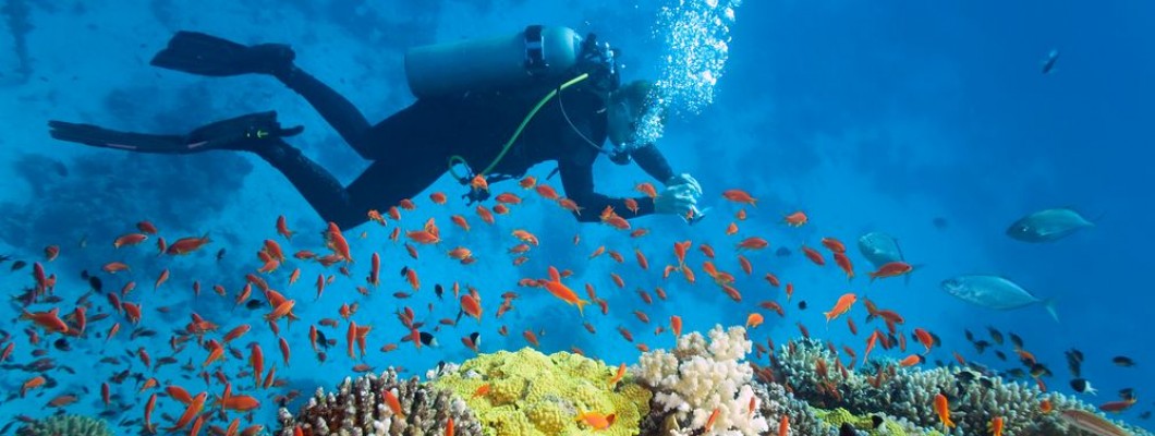 6 lugares para practicar buceo en Gran Canaria