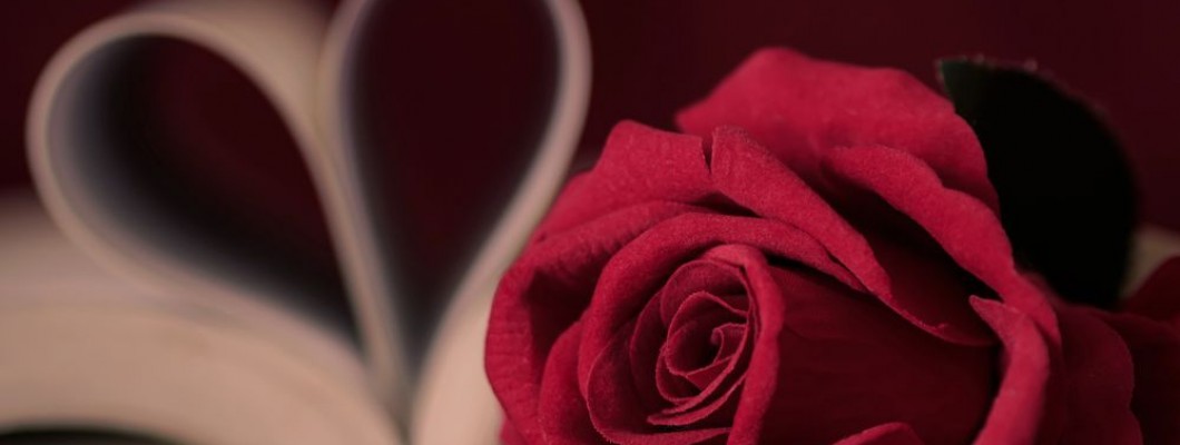 El regalo de Sant Jordi que no se marchita: una joya para siempre