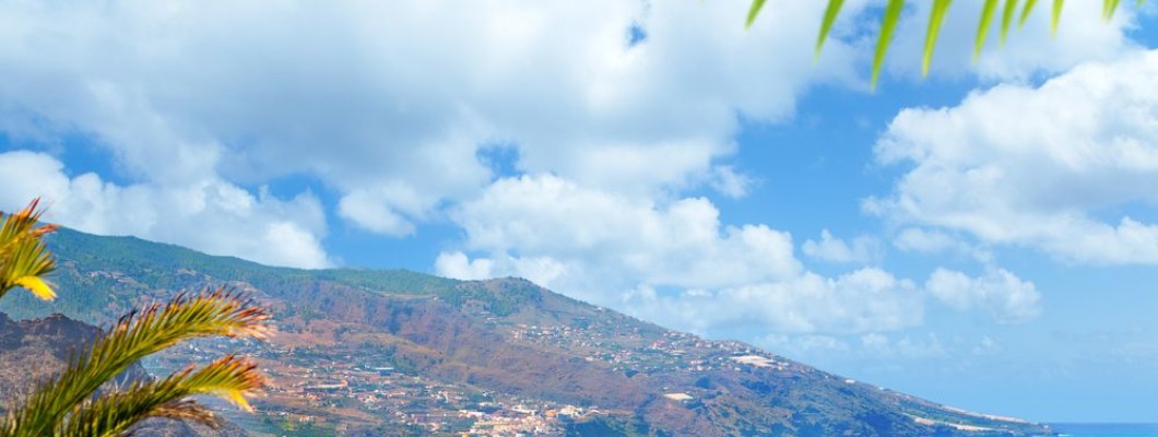 ¿De dónde viene el nombre de las islas Canarias?