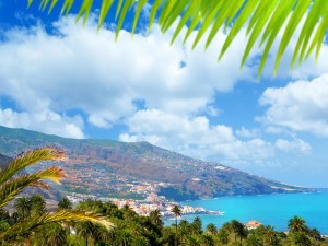 ¿De dónde viene el nombre de las islas Canarias?